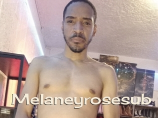 Melaneyrosesub