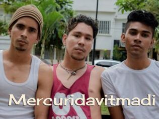 Mercuridavitmadi