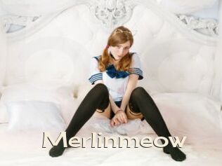 Merlinmeow