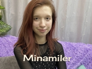 Minamiler