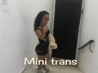 Mini_trans