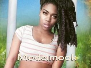 Modelmook