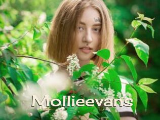 Mollieevans