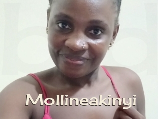 Mollineakinyi