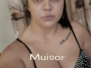 Muisor