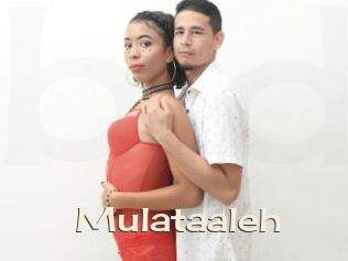 Mulataaleh