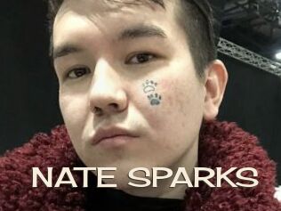 NATE_SPARKS