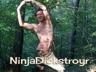 NinjaDickstroyr