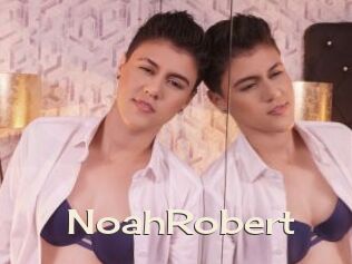 NoahRobert