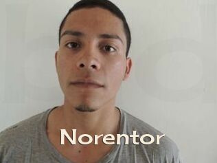 Noren_tor