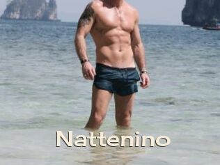 Nattenino