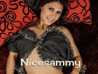 Nicesammy