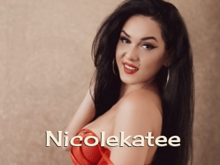 nicolekatee Big Dicks Round Ass