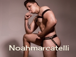noahmarcatelli Big Dicks Round Ass