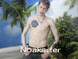 Noakarter
