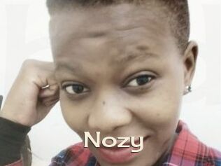 Nozy
