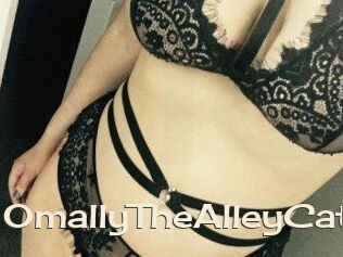 OmallyTheAlleyCat