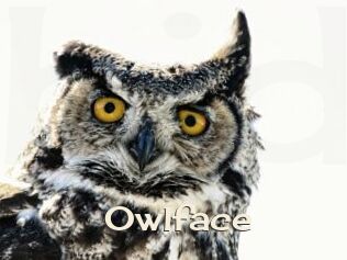 Owlface