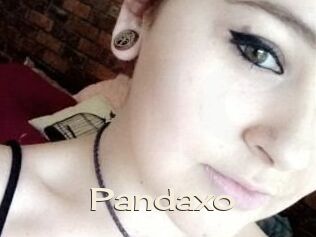 Pandaxo