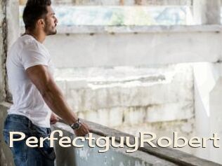 PerfectguyRobert