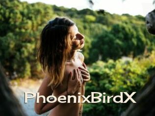 PhoenixBirdX Big Dicks Round Ass