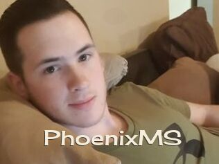 PhoenixMS