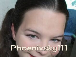 Phoenixsky111