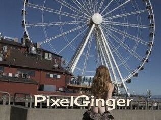 PixelGinger