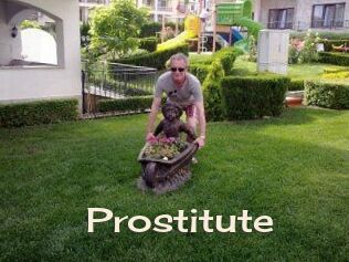 Prostitute Big Dicks Round Ass