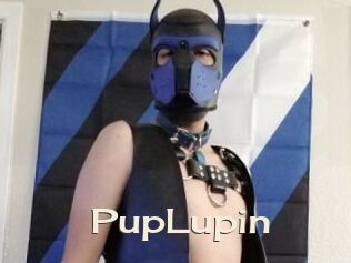 PupLupin Big Dicks Round Ass