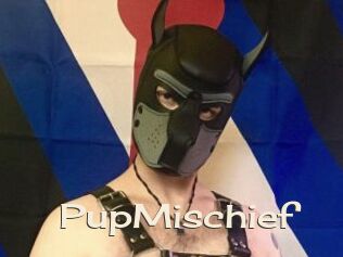 PupMischief