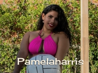 pamelaharris Big Dicks Round Ass
