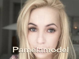 Pamelamodel