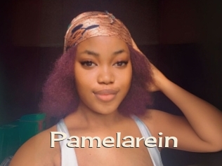 Pamelarein