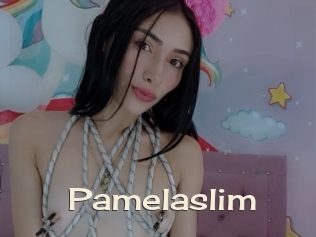Pamelaslim