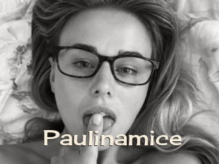 Paulinamice