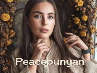Peacebunyan