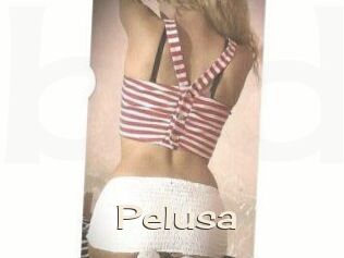 Pelusa