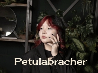 Petulabracher