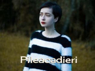 Pileacadieri