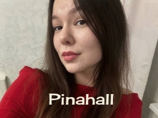 pinahall Big Dicks Round Ass