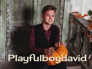 Playfulboydavid