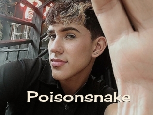 Poisonsnake