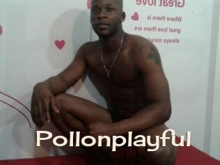 Pollonplayful