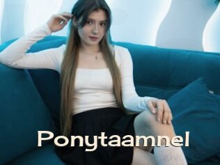 Ponytaamnel