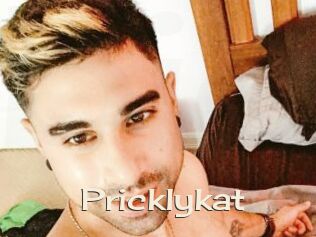 Pricklykat