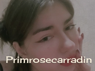 Primrosecarradin
