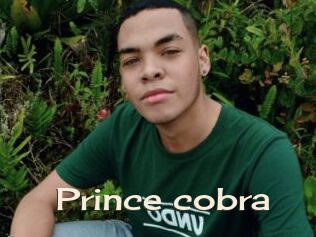 Prince_cobra