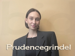Prudencegrindel