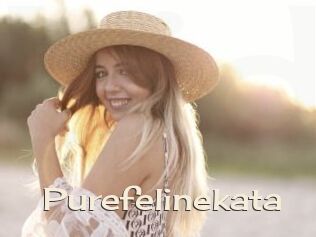 Purefelinekata